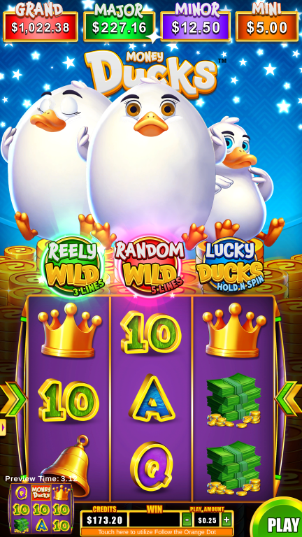 Money Ducks 3x3 screenshot